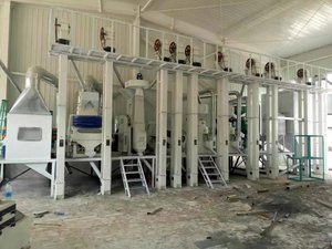 100噸成套小米加工設(shè)備